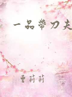 一品带刀夫人