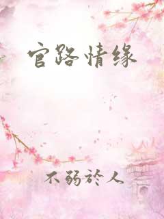 官路情缘