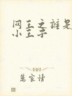 网王之谁是我的小王子