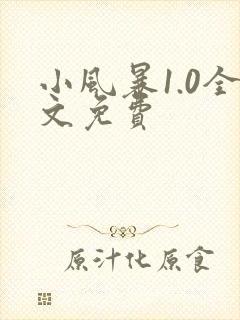 小风暴1.0全文免费