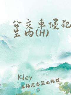 公交车侵犯小男生肉(H)