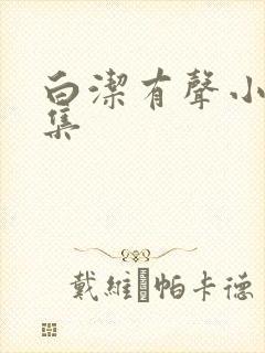 白洁有声小说全集