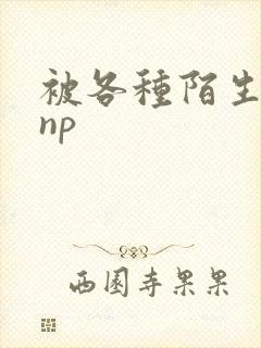 被各种陌生人 np