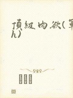 顶级肉欲(军高h)