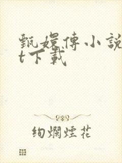 甄嬛传小说txt下载