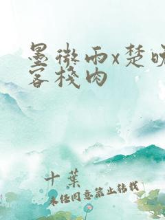 墨微雨x楚晚宁客栈肉