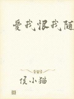 爱我恨我随便你