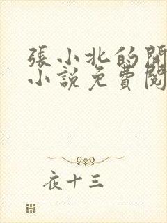 张小北的开光师小说免费阅读怎么没有276章