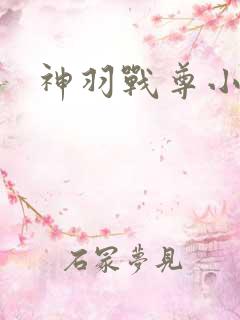 神羽战尊小说