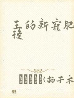 王的新宠肥婆皇后