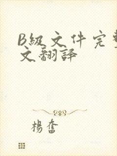 B级文件完整中文翻译