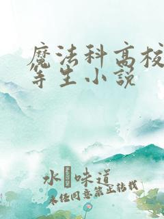 魔法科高校的劣等生小说