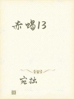 赤蝎13