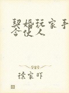 契婚玩家手册之合伙人