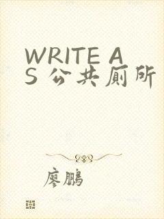 WRITE AS 公共厕所