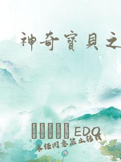 神奇宝贝之一辉