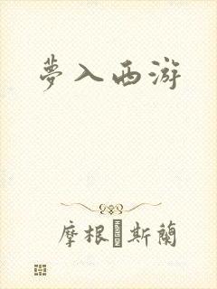 梦入西游