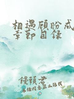 相遇顾盼成欢全章节目录