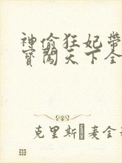 神偷狂妃带着宝宝闯天下全文免费阅读