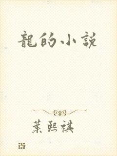 龙的小说