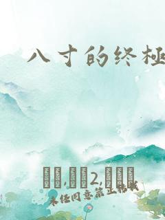 八寸的终极凶器