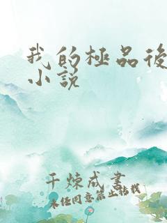 我的极品后宫 小说