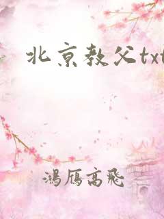 北京教父txt