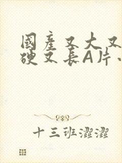 国产又大又粗又硬又长A片小说