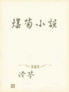 爆菊小说