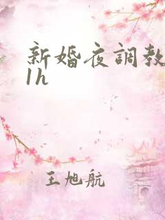 新婚夜调教1v1h