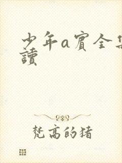 少年a宾全集阅读