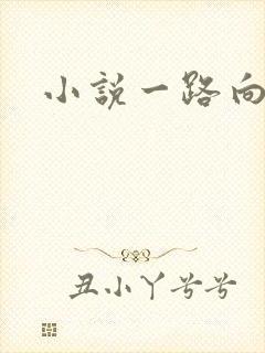 小说一路向西