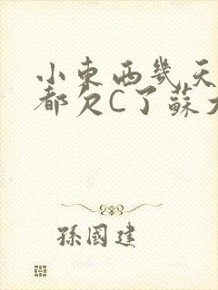 小东西几天没做都欠C了苏大深