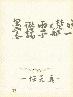 墨微雨x楚晚宁塞橘子哪一章