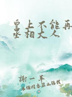 皇上不能再进了丞相大人