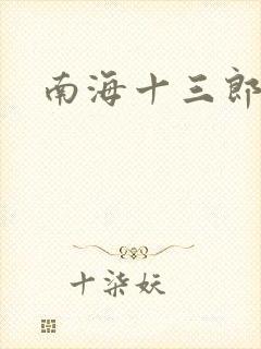 南海十三郎小说