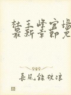 杜玉峰官场小说最新章节免费阅读