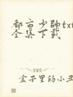 都市少帅txt全集下载