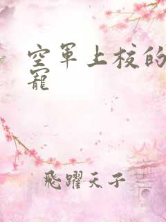 空军上校的邪魅宠