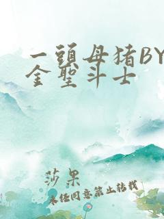 一头母猪BY黄金圣斗士