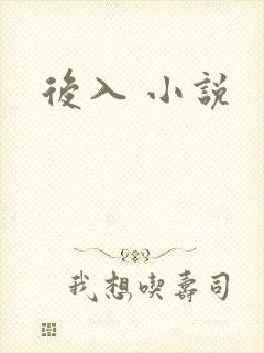 后入 小说