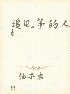 追风筝的人txt