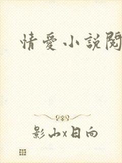 情爱小说阅读网
