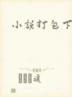 小说打包下载