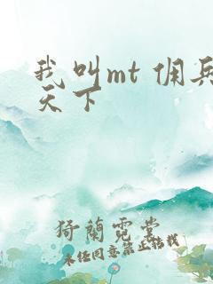 我叫mt 佣兵天下