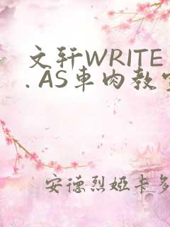 文轩WRITE. AS车肉教室