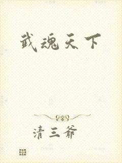 武魂天下