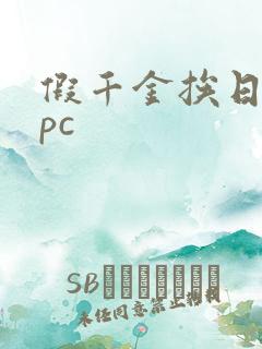 假千金挨日记npc