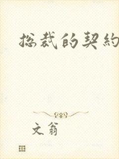 总裁的契约情人