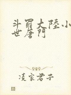 斗罗大陆小说绝世唐门